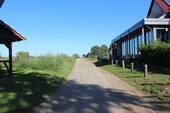 Umgebung-Feldweg - 
