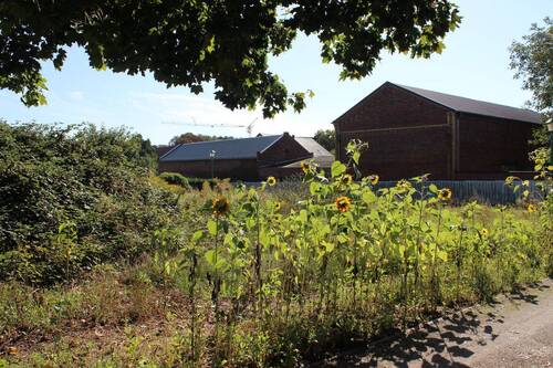 Grundstück-Sicht von hinten links nach vorne - Baugrundstück für Einfamilienhaus