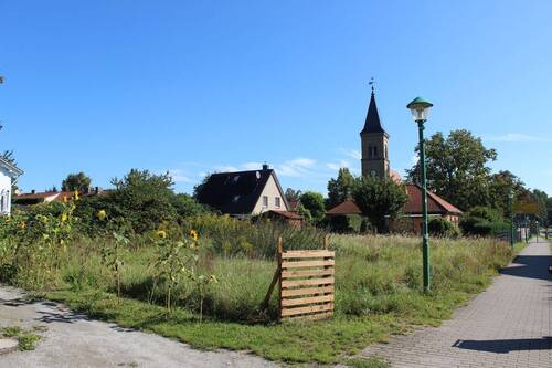 Grundstück-Sicht von linker Seite - Grundstück zum Kaufen in Mühlenbecker Land