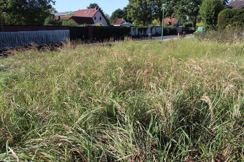 Sicht-vom Grundstück zur Straße - Grundstück in Mühlenbecker Land