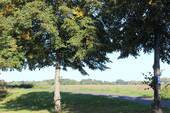 Umgebung-Feld - 