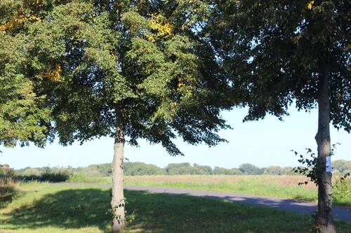 Umgebung-Feld - 
