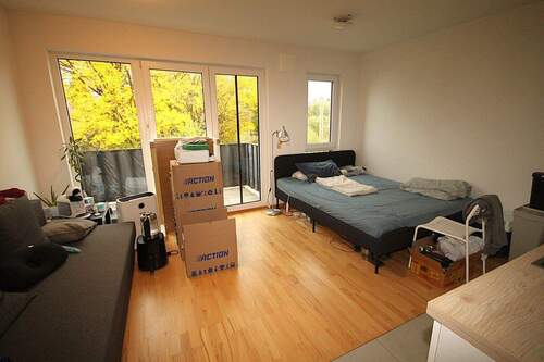 Wohn-/Schlafzimmer - 