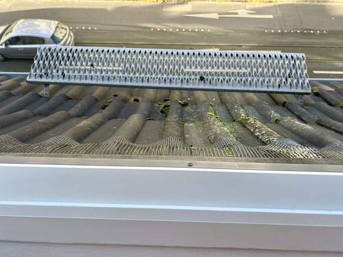 Fenster Tritt Schlafen 4 - 