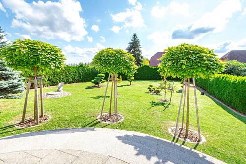 Blick von der Sonnenterrasse - 