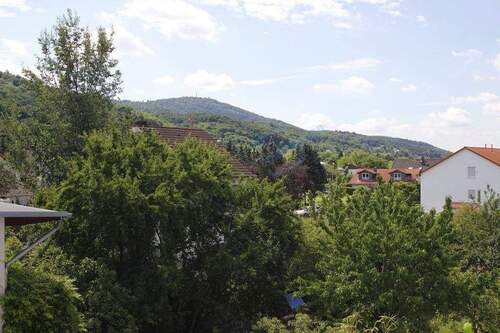 AUSBLICK - 