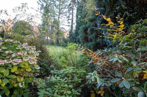 Blick aus dem Wohnzimmer - 