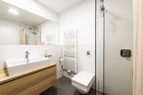 PHOTO-2024-09-27-11-14-14 10.jpg - 