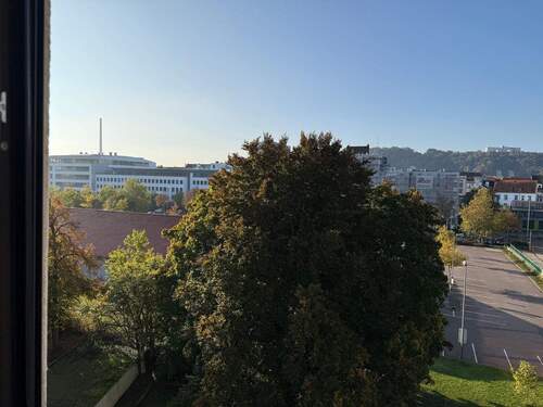 Ausblick - 