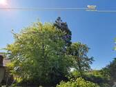 Gartenbereich hinterm Haus (3).jpg - 