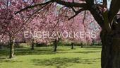 Lilienthalpark - 