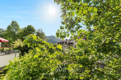 Wunderschöner Blick ins Grüne - 