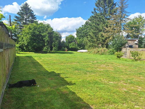 Bild 11 - 