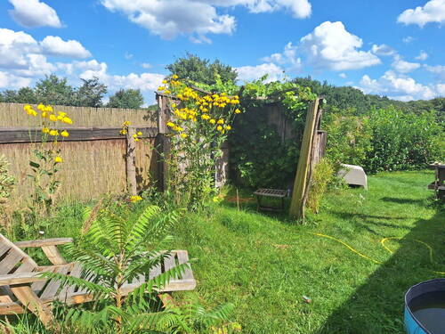 Bild 12 - 