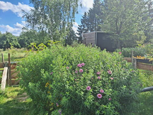 Bild 13 - 