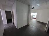 Blick in Lager- & Verkaufsraum - 