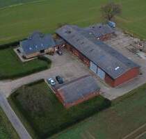 Hofstelle mit zwei Wohneinheiten und Hallenkomplex - Lübbecke-Nettelstedt