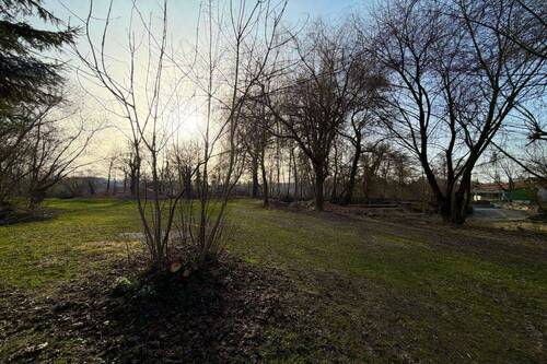 Spaziermöglichkeit für Haustiere - 