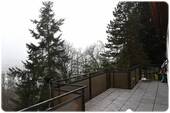 Bild11 - 