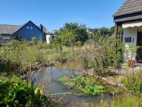 Blick auf die Teichanlage - Einfamilienhaus mit 130,00 m&sup2; in Otterstadt zum Kaufen