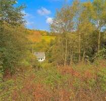 Attraktives Hanggrundstück mit Panoramablick in Winterberg-Silbach