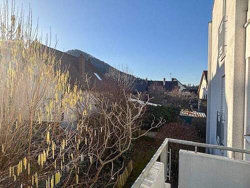 Ausblick vom Balkon - 