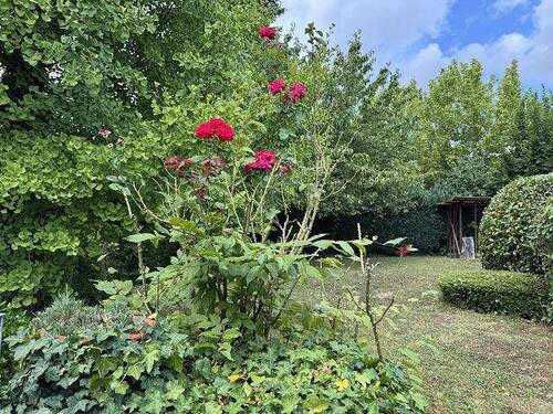 k-IMG_4182 - 4 Zimmer Mehrfamilienhaus, Wohnhaus in March-Buchheim