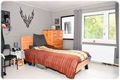 Bild10 - 