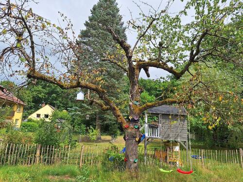 Garten 2.jpg - 