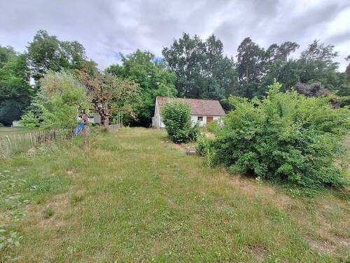 Garten 3.jpg - 