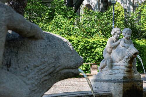Volkspark - 