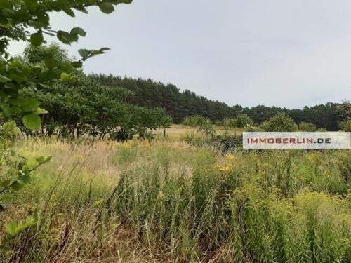 Bild 5 - Grundstück in Königs Wusterhausen