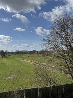 Ausblick Wohnzimmer OG - 