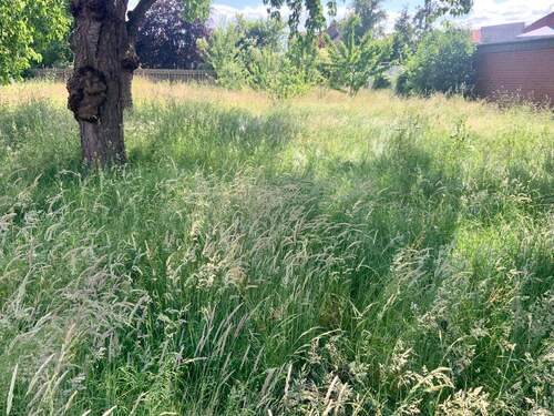 Bild 4 - Mehrfamilienhaus, Wohnhaus mit 312,00 m&sup2; in Beverstedt zum Kaufen