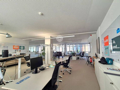im Büro - 