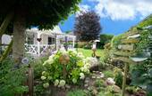 Garten - 