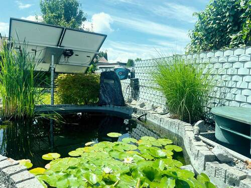 Gartenteich - 