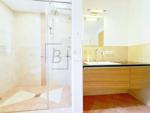 Gäste WC mit Dusche - 