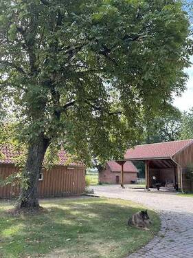 Hofbereich mit Remise - Einfamilienhaus mit 236,00 m² in Martfeld / Kleinenborstel zum Kaufen