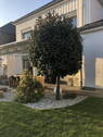 Bild 18 - 