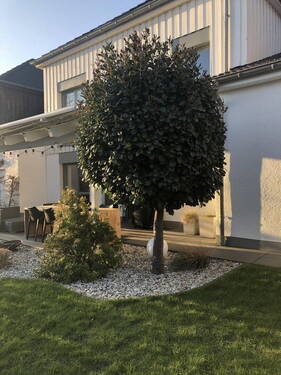 Bild 18 - 