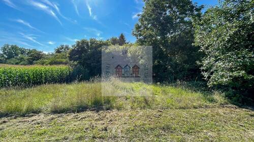 PHOTO-2025-08-25-10-36-54 4 - 