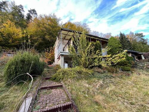 Frontansicht - 