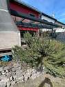 Rosmarin vor der Terrasse - 