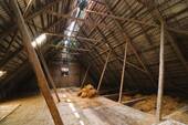 IMG_6253a.JPG - 