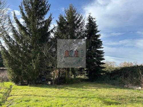 IMG_9302 - Grundstück zum Kaufen in Schkopau / Lochau