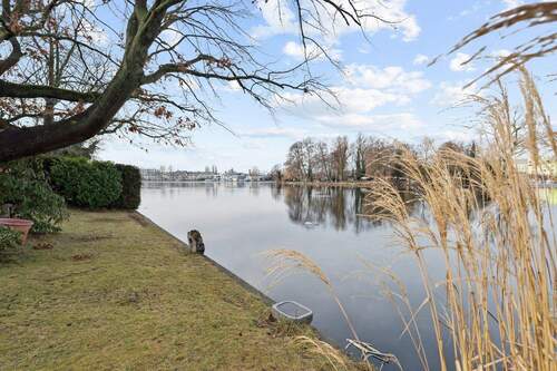 Blick auf die Rohrwallinsel vom Garten - 