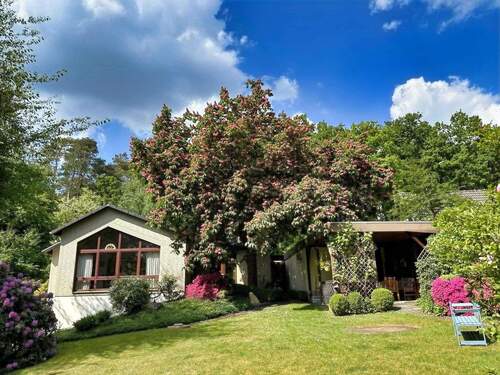 Ansicht Gartenseite - Grün und zentral? Das geht! Bungalow in Bestlage am Stadtpark in Buchholz