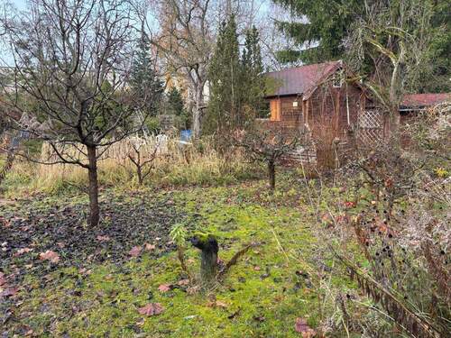 Garten - Grundstück in Berlin zum Kaufen