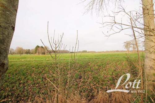 Blick über Wiesen - 